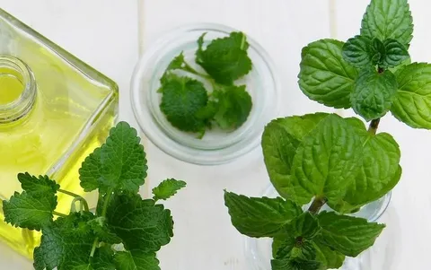 تصویر 1 از خرید عرق نعنا شیشه ای + بهترین قیمت